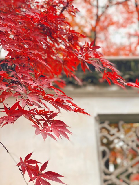 520简短走心文案表白男友,520表白孩子文案短句