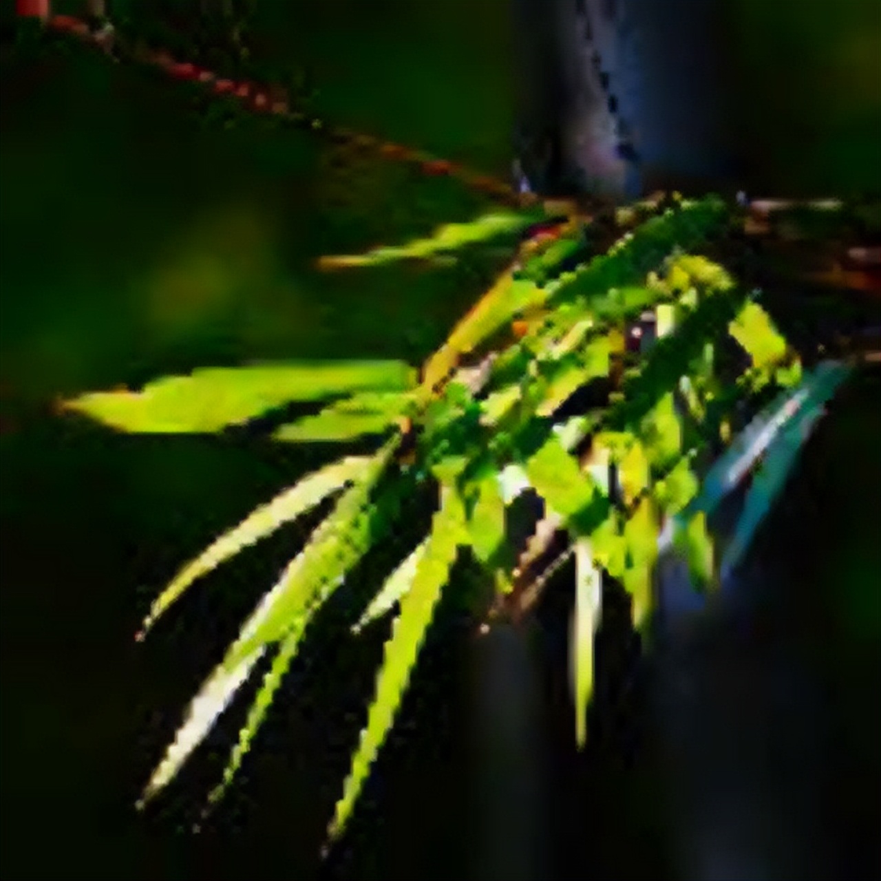 山东青州黄花溪景区图片,山东九寨沟黄花溪