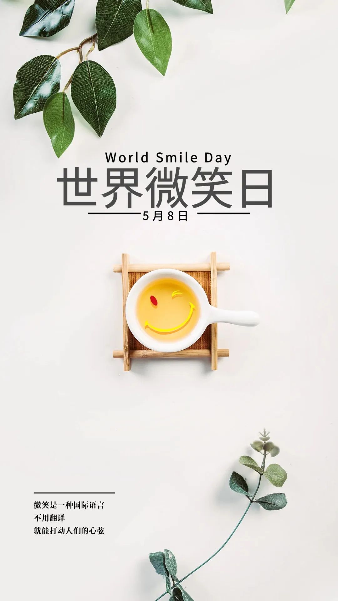 早安微笑语录经典句子,2020年经典早安心语语录锦集80条