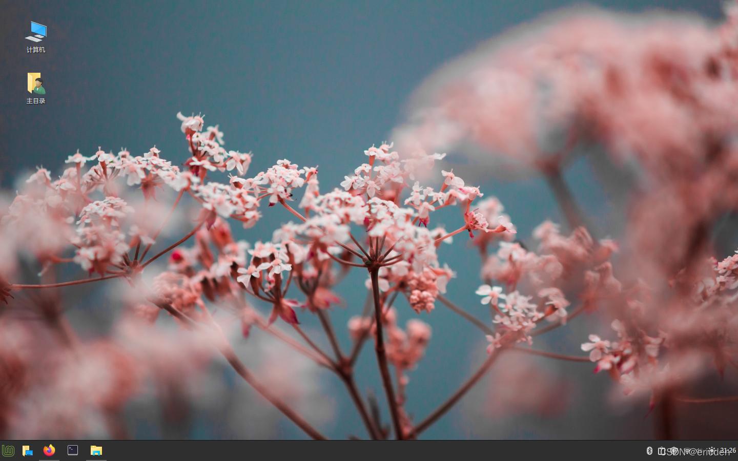 配置Cinnamon的CSS文件让桌面图标文字显示模糊阴影