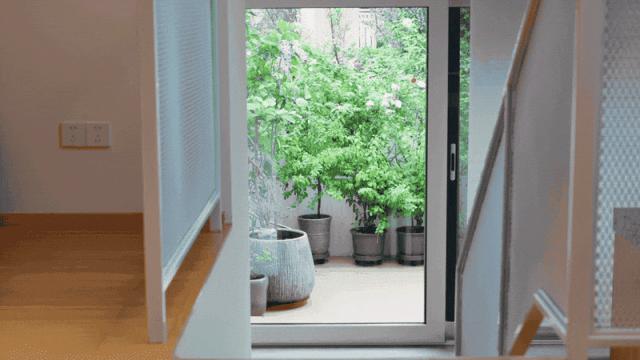 深圳一家六口给别墅装上大蚊帐,深圳一家六口别墅