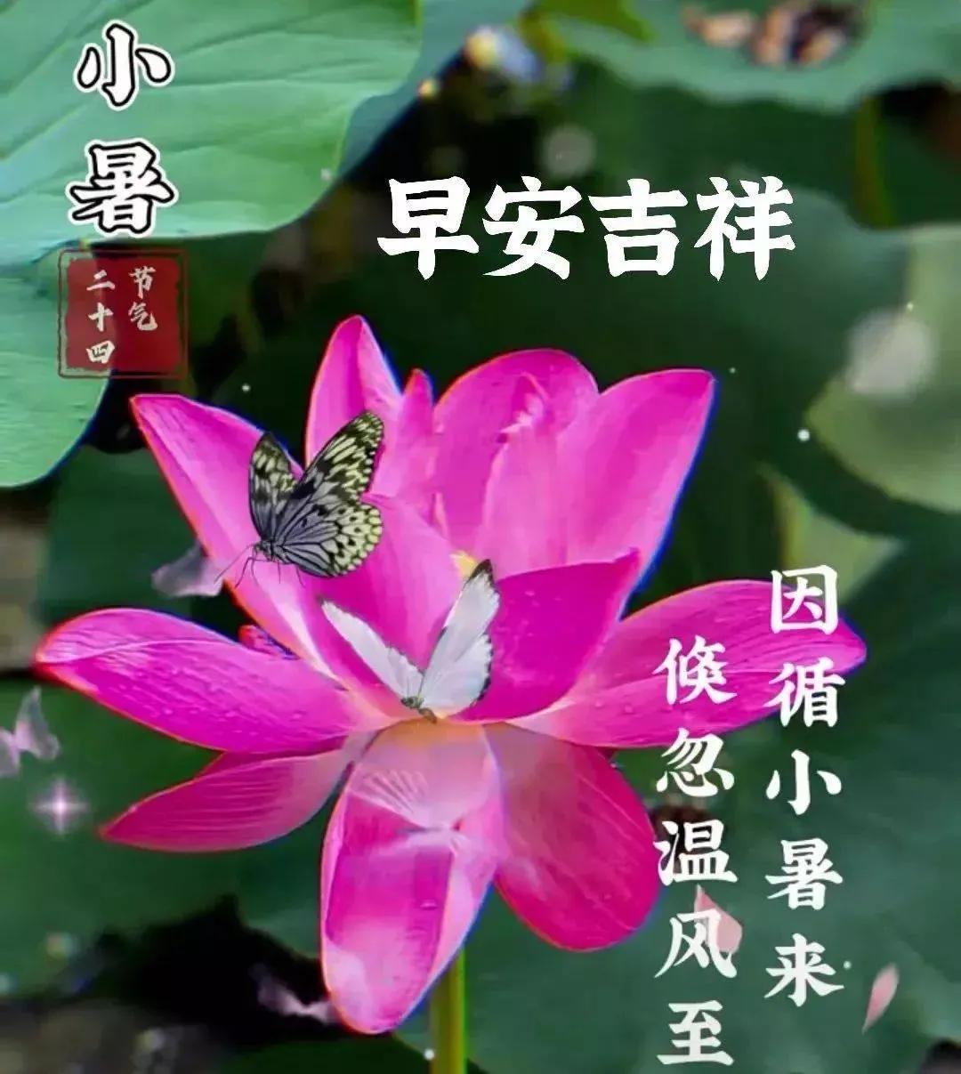 小暑节气祝福语简短,小暑节气祝福语图片简短
