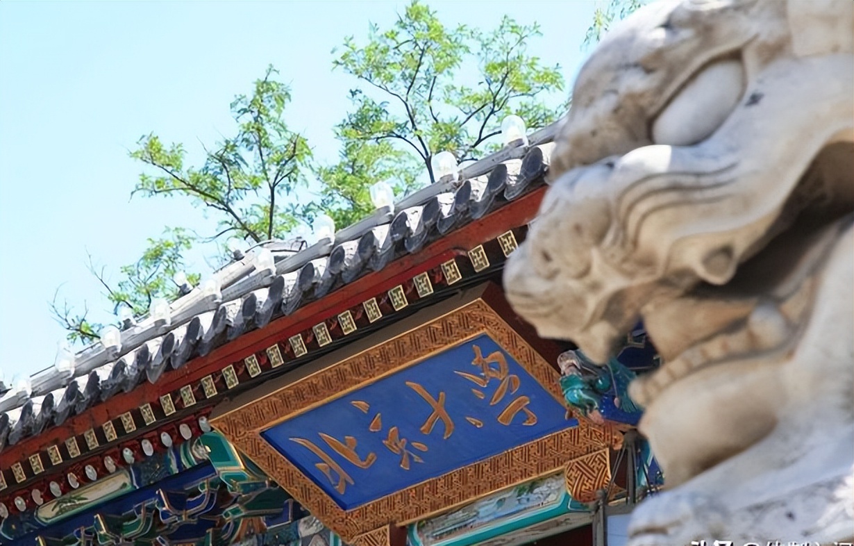 数学专业就业前景最好的学校,数学专业学什么课程好就业