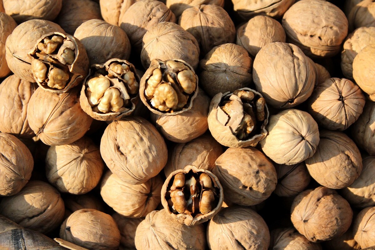 什么样的核桃好吃有营养,核桃的营养价值及禁忌