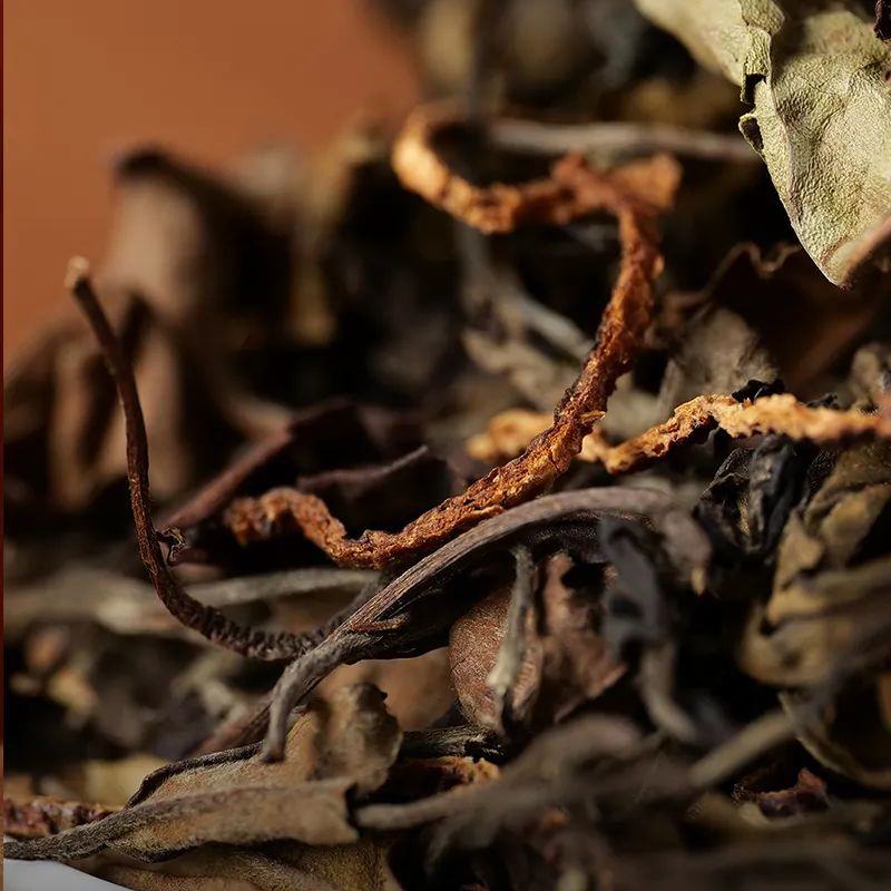 夏天喝什么陈皮白茶,茶友必备茶具