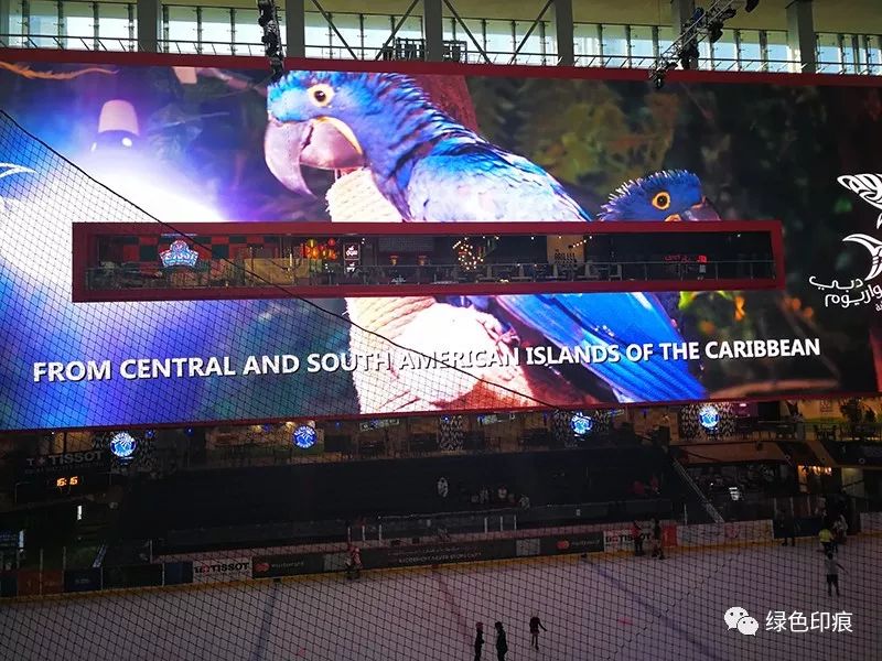 在迪拜最大购物中心尽情享受购物 (去逛迪拜的购物中心)