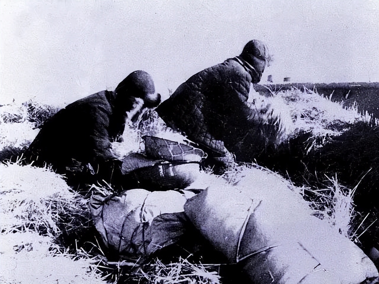 全国玉米最新卖粮进度,2023年小麦和玉米价格高还是低