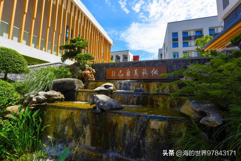 十堰新增学校,十堰市2023年有哪些新建学校