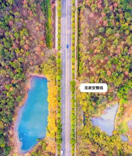 杭州最美15条自驾路线,杭州十大最美自驾公路路线