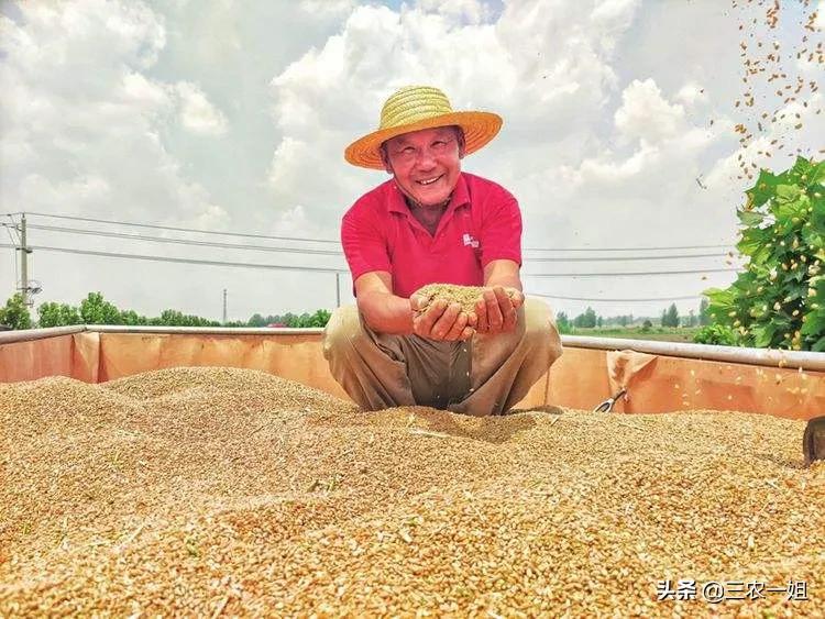 “四月初一朔，不可见风雨”是啥意思？初一晴天啥预兆？农谚咋说
