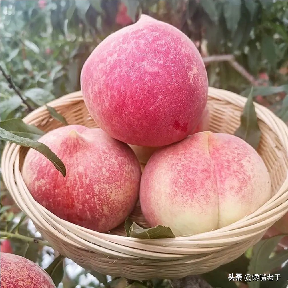 7月吃什么水果最好,七月吃什么水果有营养