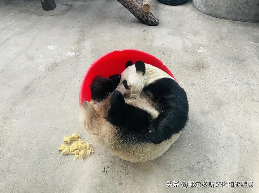 三月份去踏青旅游攻略,踏青赏春旅游攻略