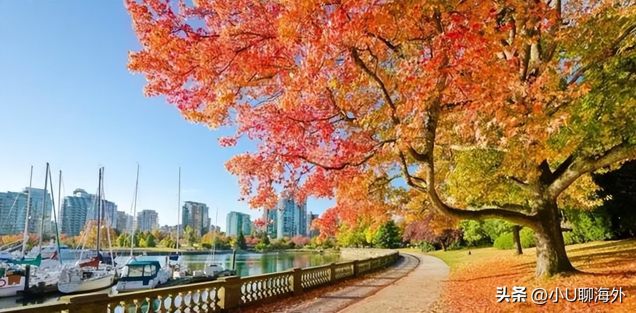 办理美英申根签证,美澳英哪个签证好办