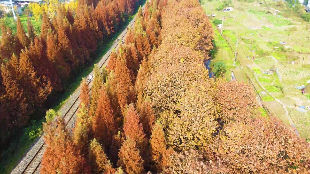 成都周边游最佳景点街子古镇,都江堰附近的旅游景点推荐