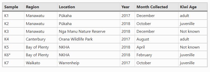 新西兰的几维鸟属于什么类型,新西兰的几维鸟有什么样的形态
