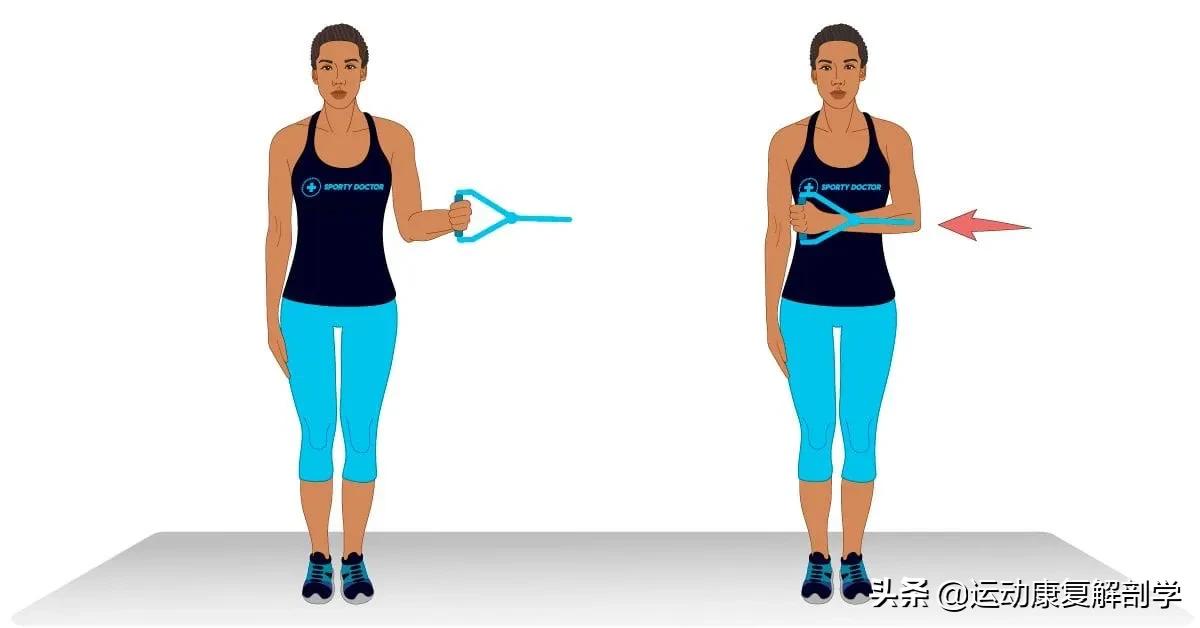 肩袖肌群之——肩胛下肌的不同角度训练