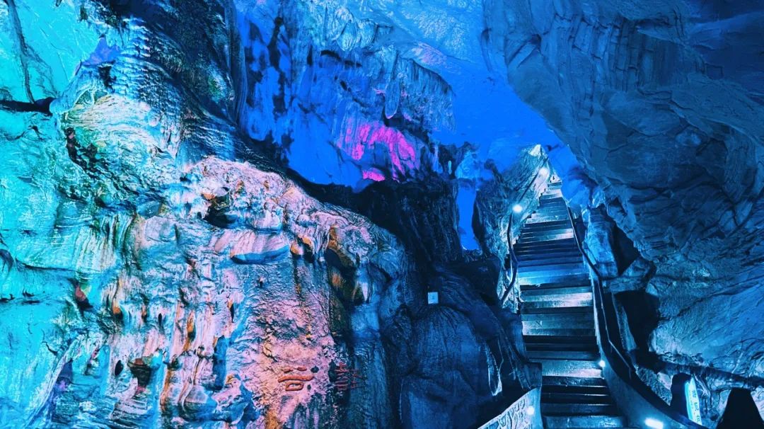 我去竹林避暑了，夏天过完再通知我！