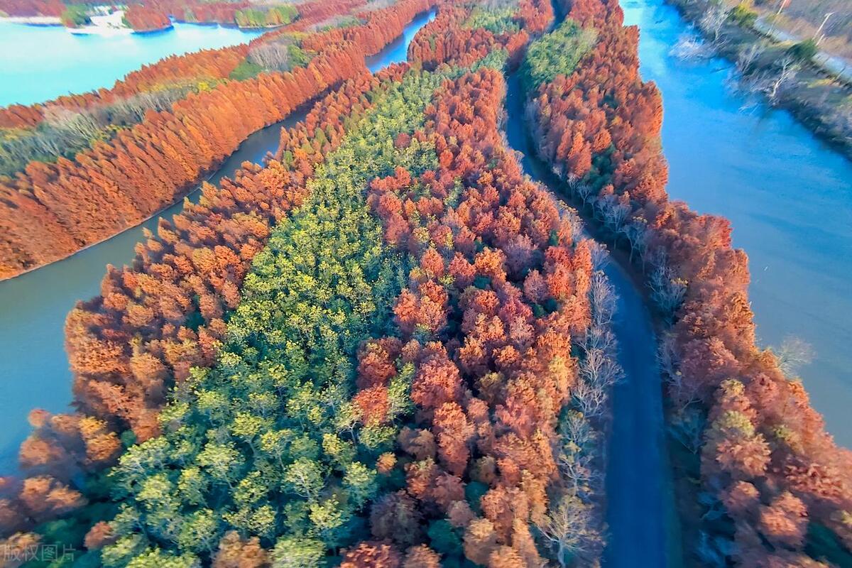 2022上海赏花时间一览表,上海赏花时间表