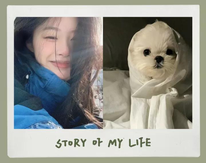 美图秀秀模糊照片变清晰,用美图秀秀拼图怎么不能全部显示