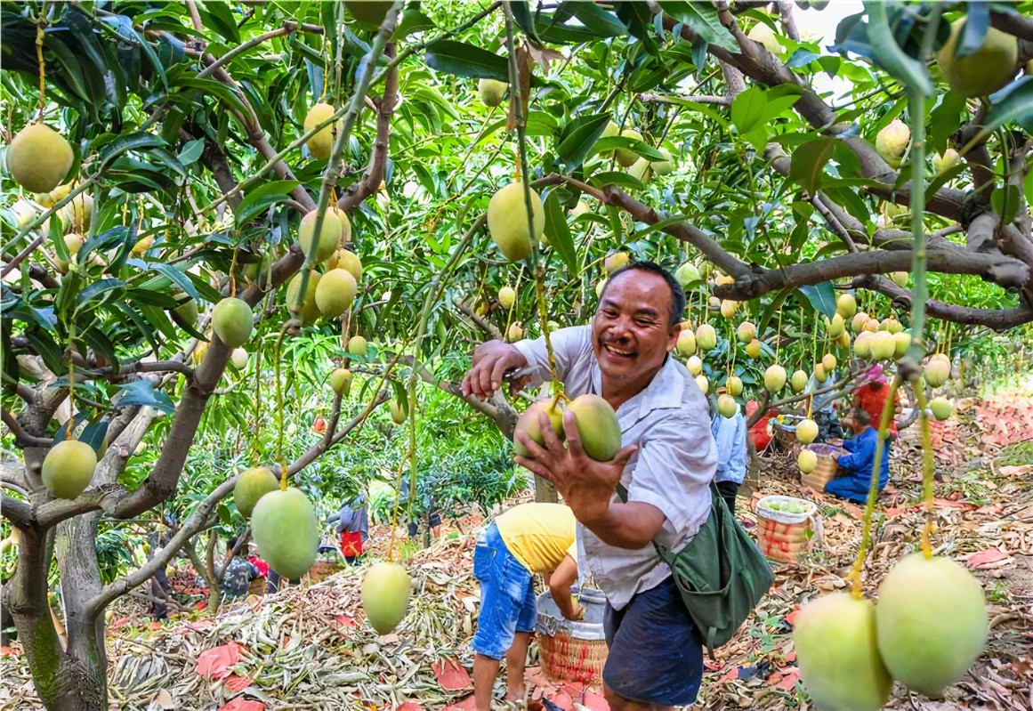 金哥亲身体验，客观评价攀枝花的城市发展！不知道其他朋友赞同吗