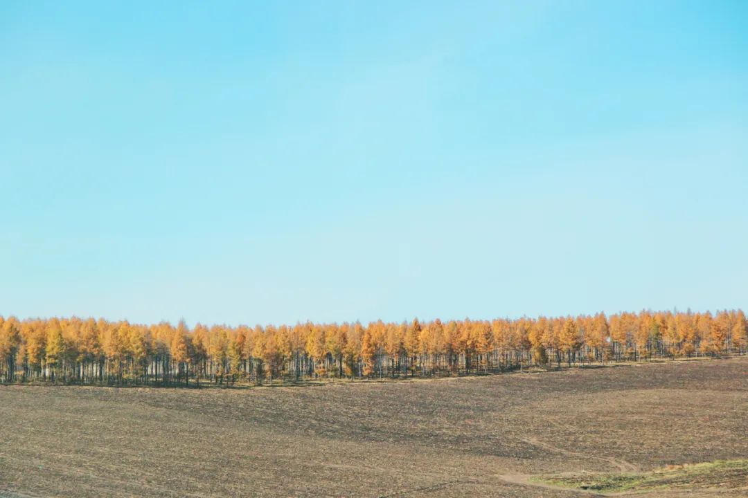 50块钱逛遍大连,50块钱逛沈阳