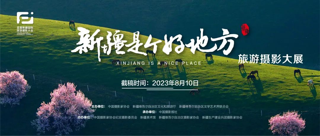 中国摄影协新项目,中国摄协最新公示