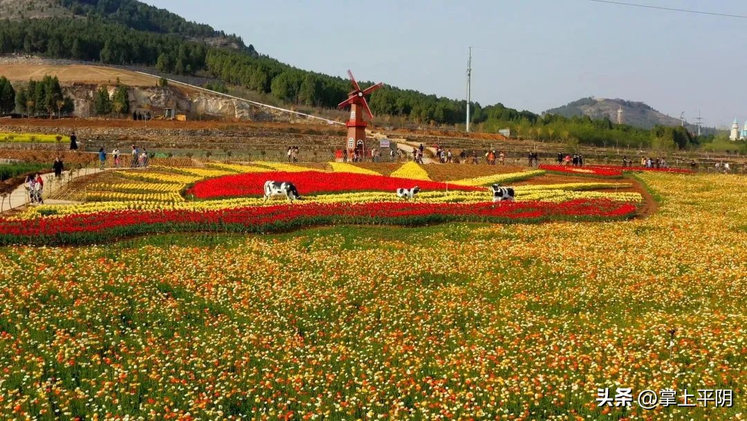 山东商报济南记者站,山东商报创刊