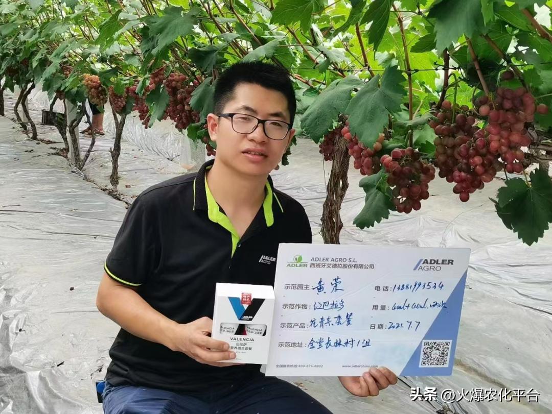 西班牙原装进口肥料艾德拉,西班牙艾德拉农肥料有限公司