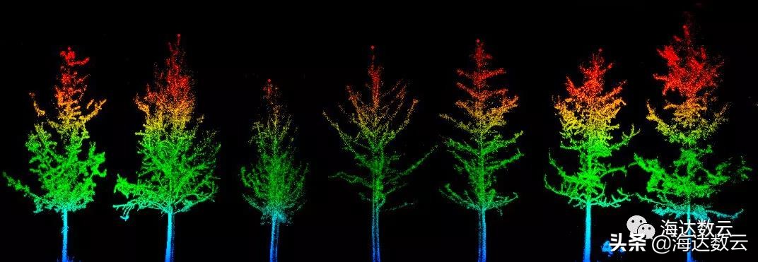 激光雷达林业调查,激光雷达森林防火