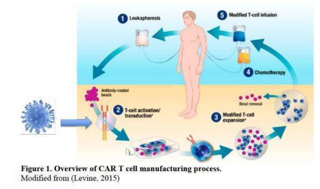 老年淋巴瘤常见类型有哪些？可以做CAR-T细胞治疗吗？