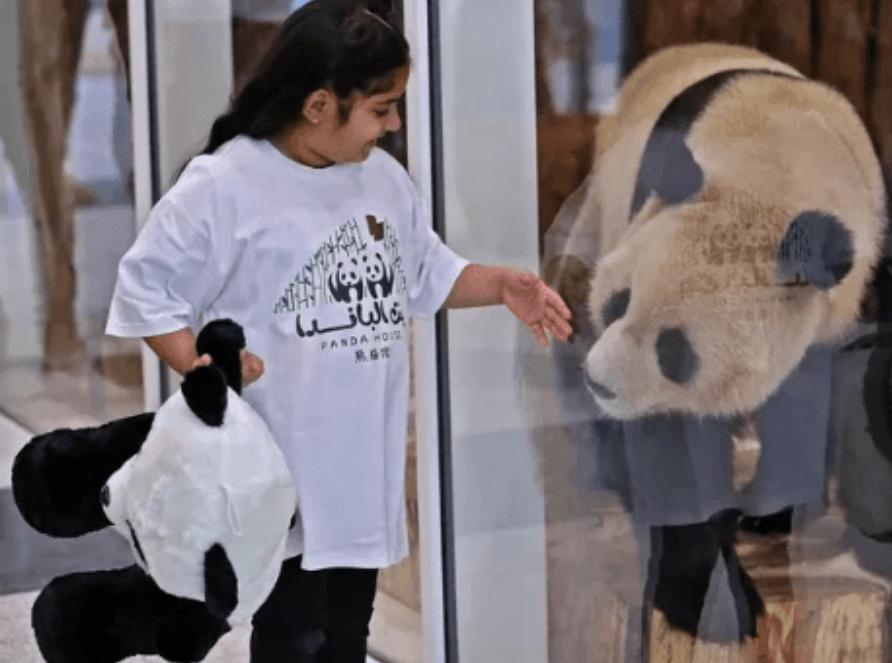 国足回忆完整视频,国足世界杯回忆录