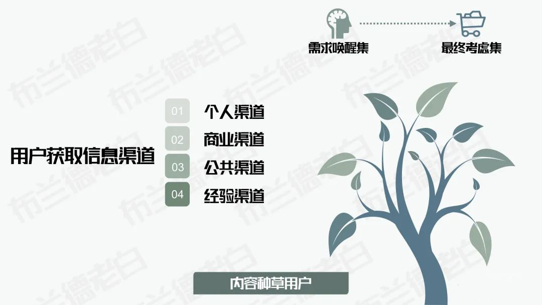 抖音电商食品行业运营方案,食品抖音电商运营