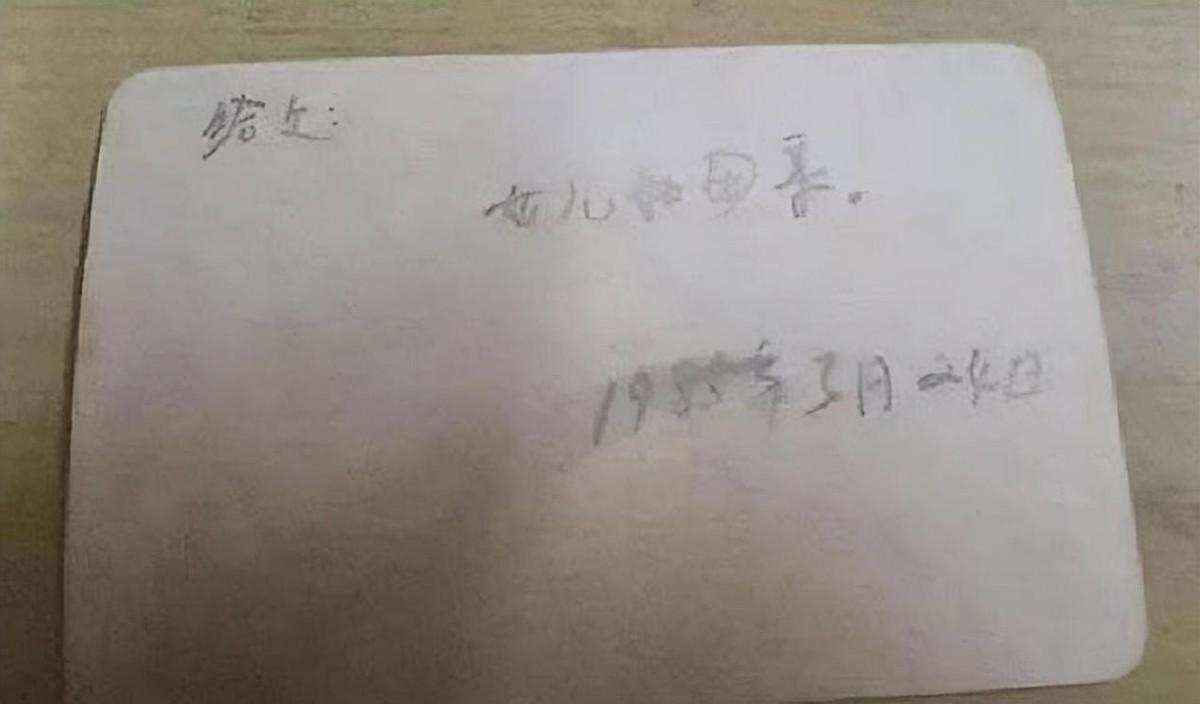 台湾老人回大陆认亲80岁儿子,台湾老人回大陆认亲视频