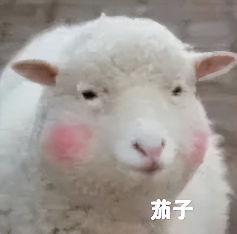 苹果手机人像照片怎么调出高级感,华为手机怎么拍照片好看有高级感