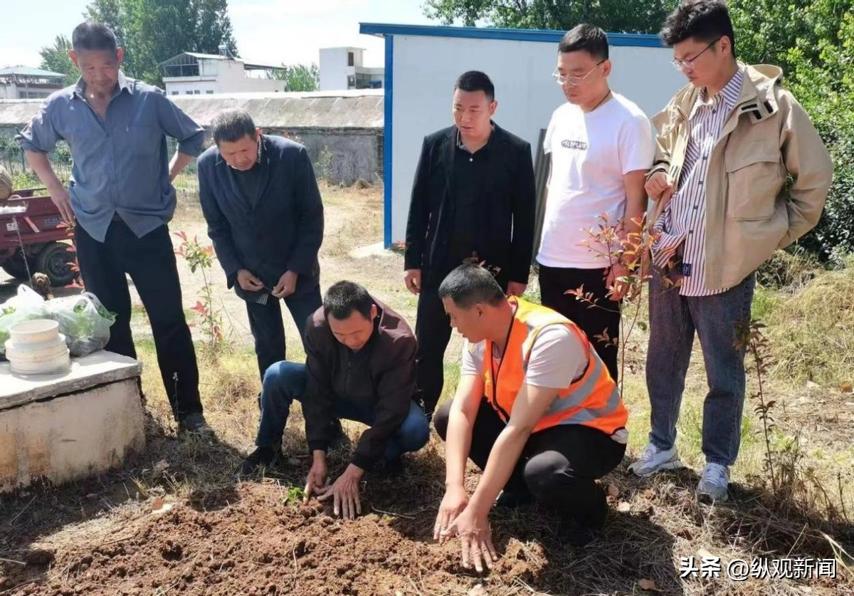 脱贫致富鸡苗送给贫困户,脱贫攻坚免费送猪苗