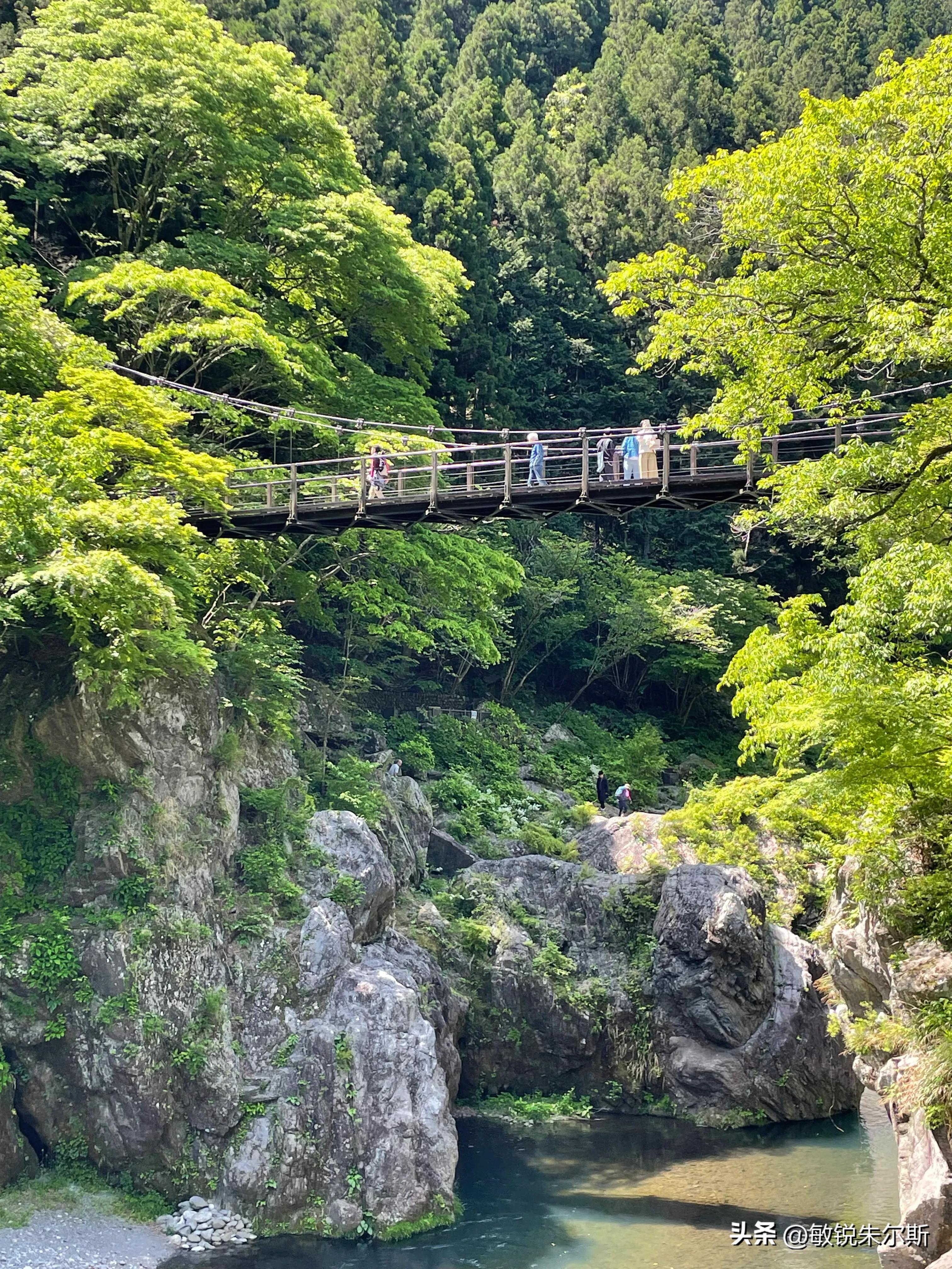 一个人记录生活在日本,记录一家人在日本日常