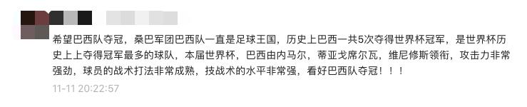 卡塔尔世界杯32强巡礼|“非洲雄狮”——喀麦隆队