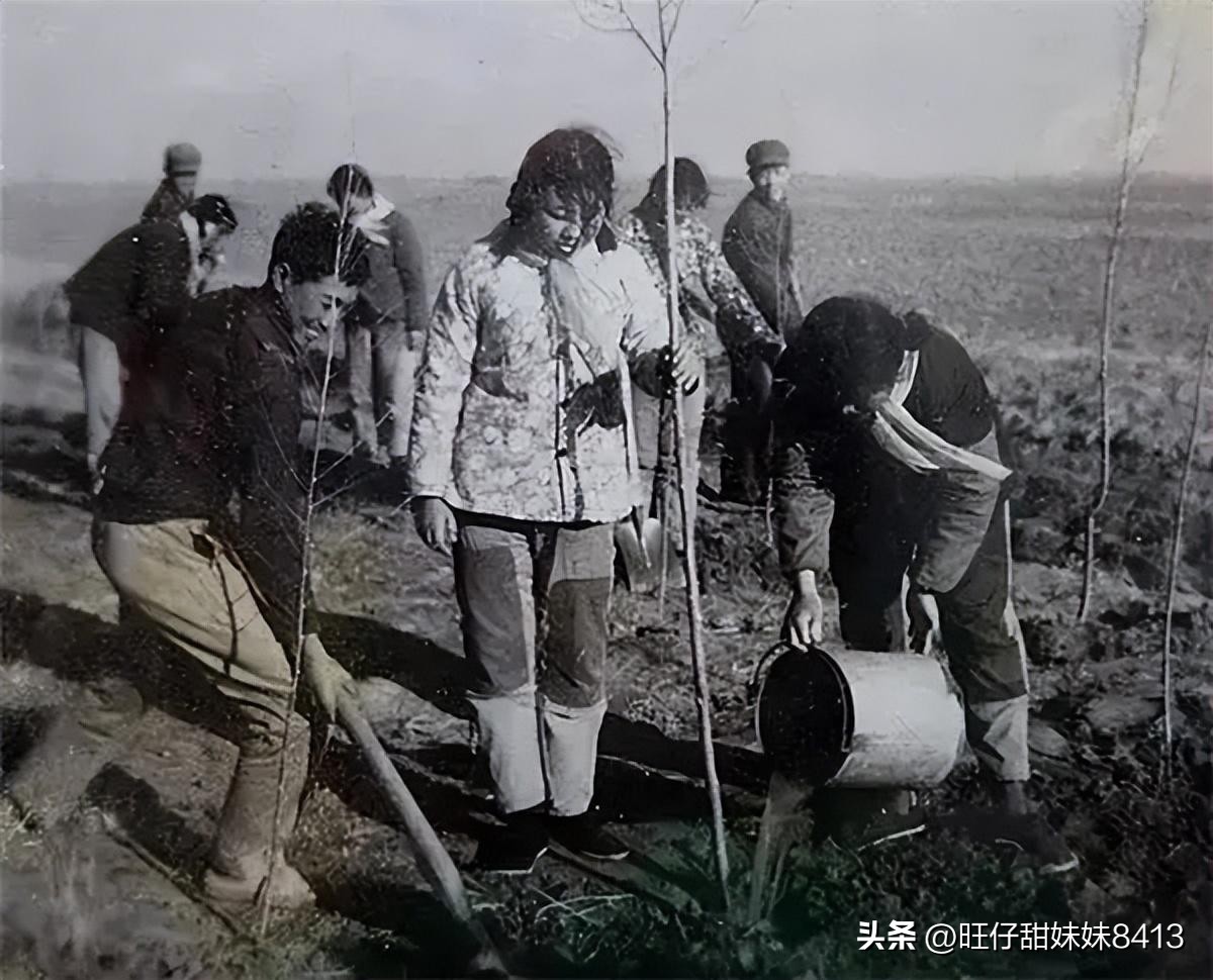 八十年代风靡全国的的确良,七八十年代风靡全国的的确良