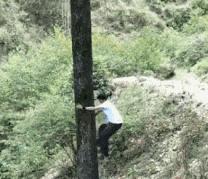 搞笑gif谁这么有才把车开上房顶了,搞笑gif段子这车开出去也太拉风了