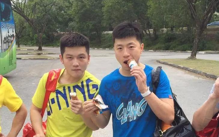 国乒马龙樊振东,樊振东国乒一哥