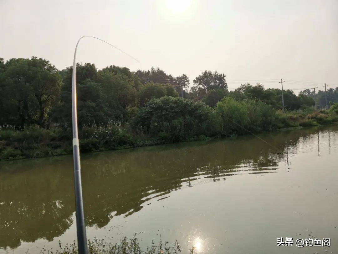 新手野钓怎么选鱼线最好,野钓鱼线怎么选择