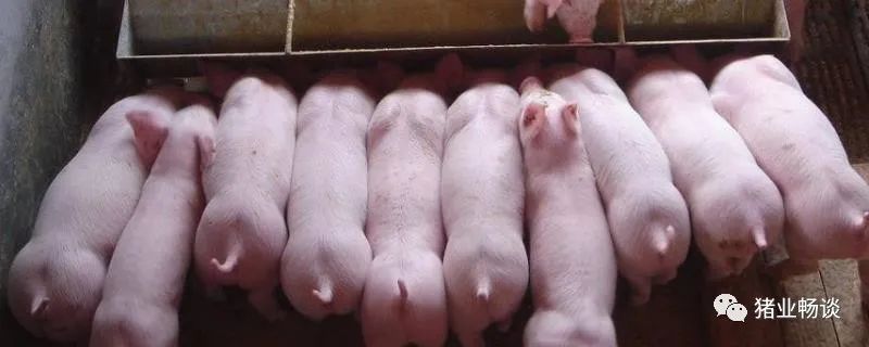 春季腹泻怎么用药,春季腹泻如何治疗