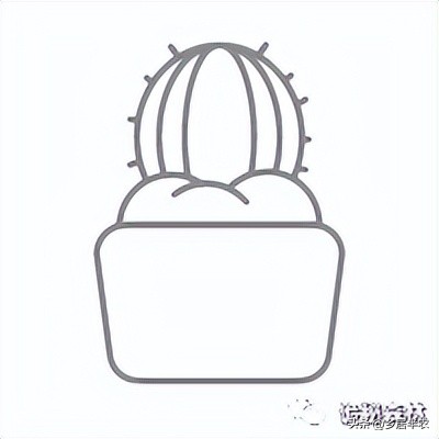 龙舌兰难养的品种,金边龙舌兰品种大全