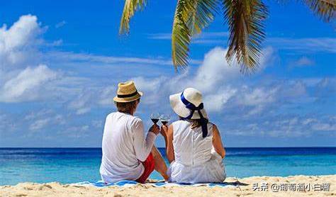 葡萄酒和红酒哪个好喝,红酒知识大全葡萄酒基本知识普及