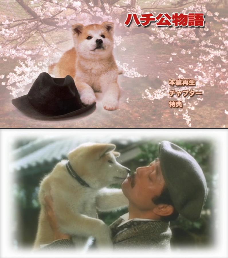 国产翻拍2019 (国内翻拍的电影吐槽)