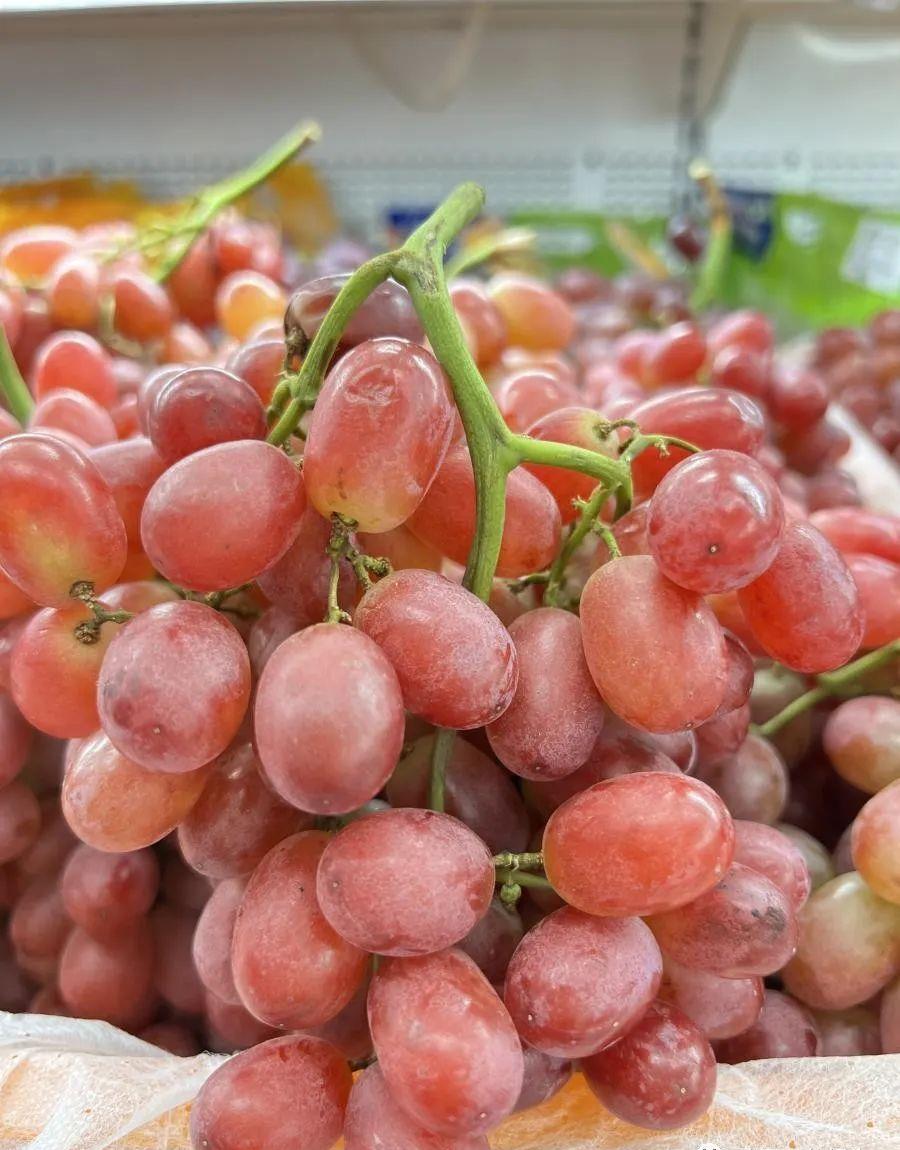 红提幼苗管理技术,红提种植视频教程