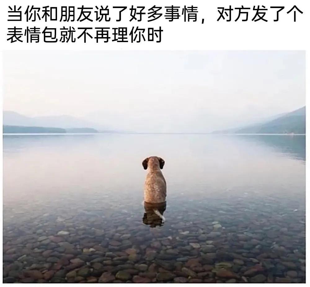 lifeme搞笑图片,月初月末搞笑图片