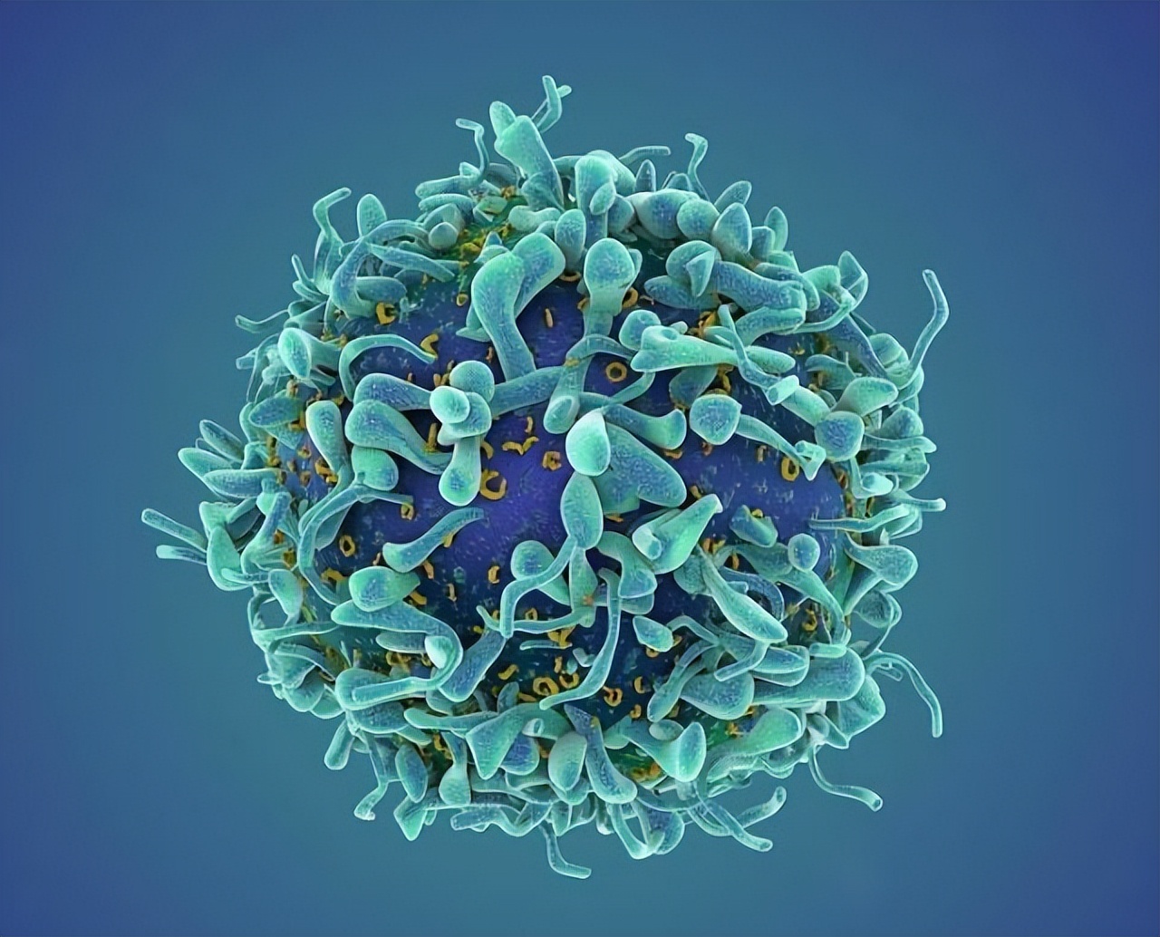 化疗放疗对于何种癌症最有效,乳腺癌化疗痛苦还是放疗痛苦