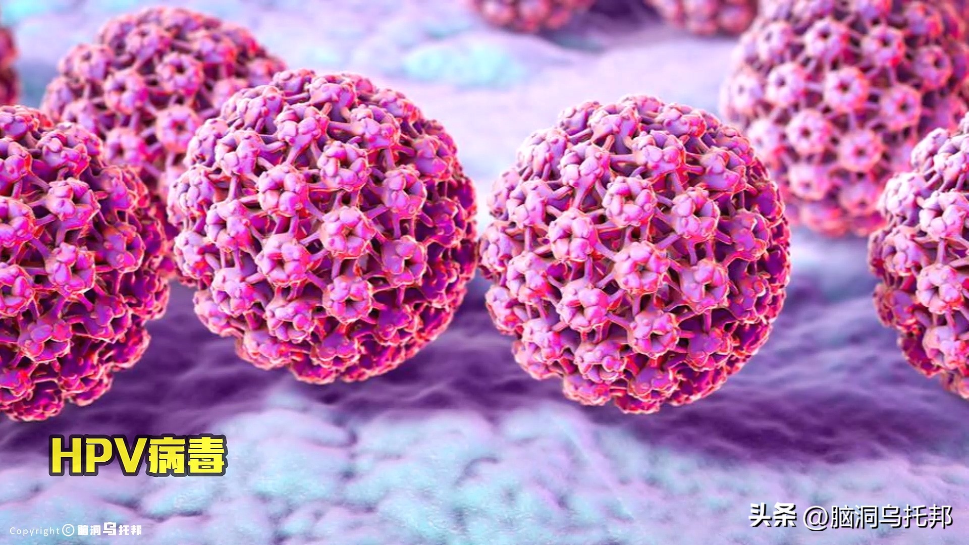 无症状感染是因为体质差吗,为什么有的人感染症状轻