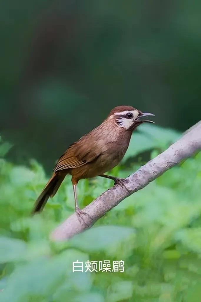 上海国际汽车城安亭,上海市嘉定区安亭国际汽车城